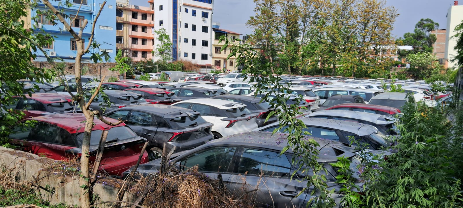 Customs duty not increased on import of EVs, old rate on hybrids