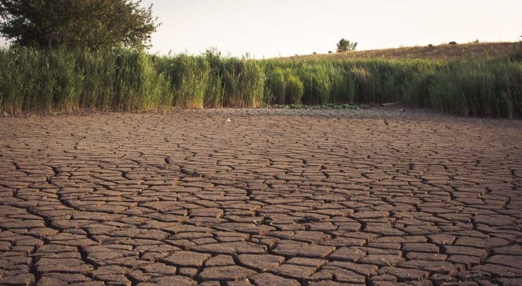 Madhesh Province Declared Drought-Affected Area by Provincial Government