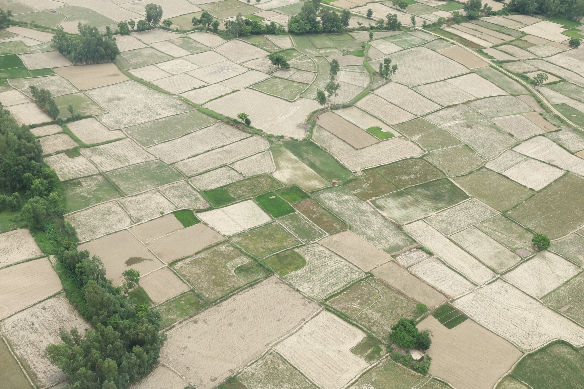 Madhes province declared drought-hit region sends message for crop insurance
