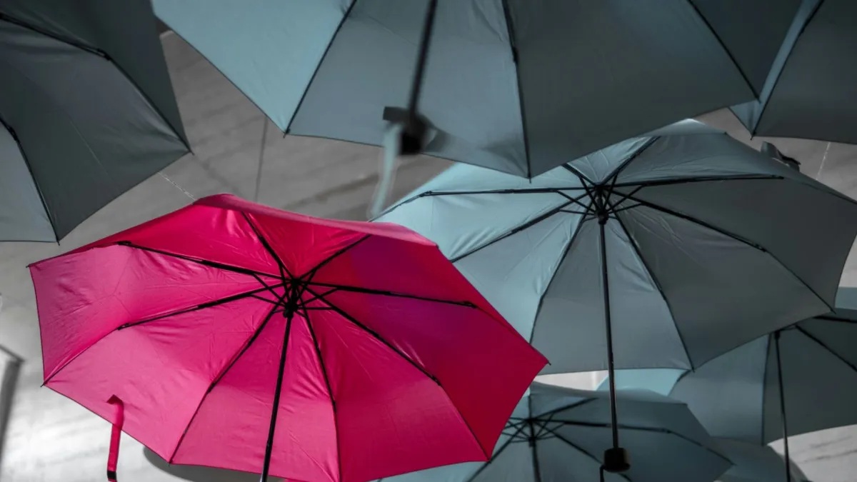 Choosing a company is a strategic decision, you need the right insurance plan to avoid risk.