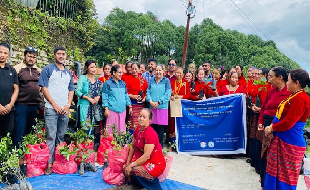 Swavalamban Microfinance distributes fruit saplings