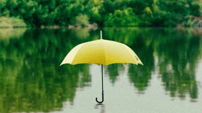 जलवायु परिवर्तनः विश्वमा वातावरणमैत्री बीमा उत्पादन आवश्यक