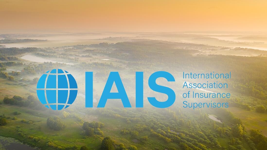 What is the basic principle of insurance included in the annual policy and program of the authority?