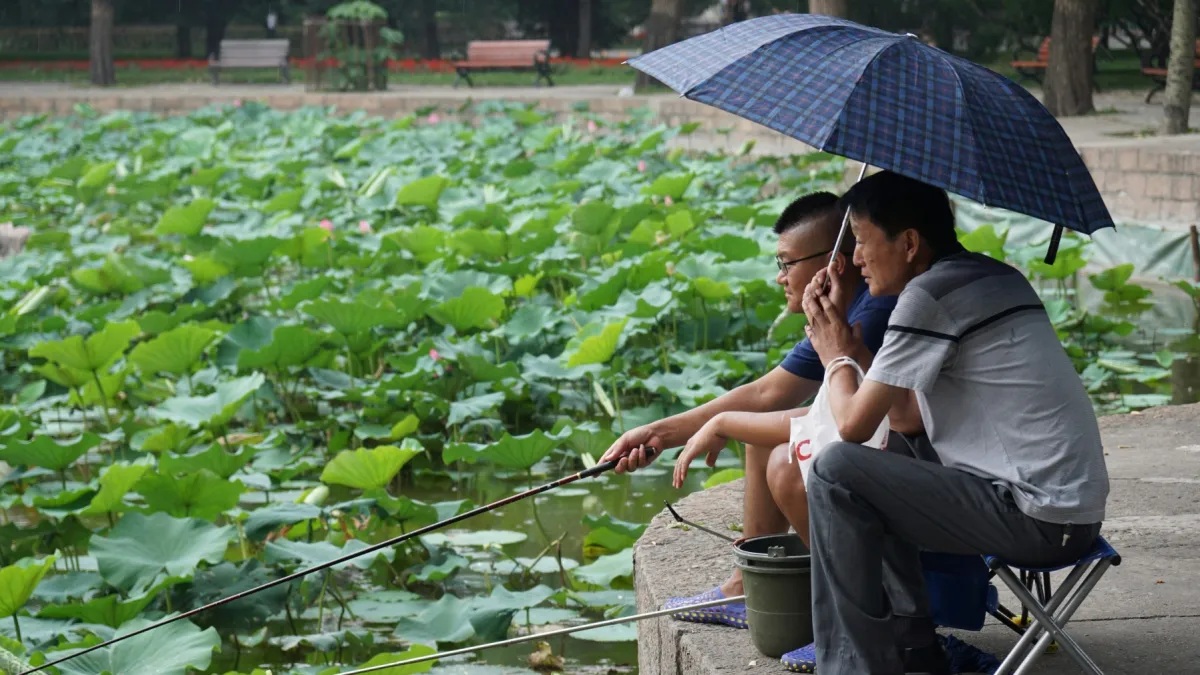 चीनमा अवकाशपछि पनि काम गर्नेलाई बीमा सुविधाको प्रस्ताव