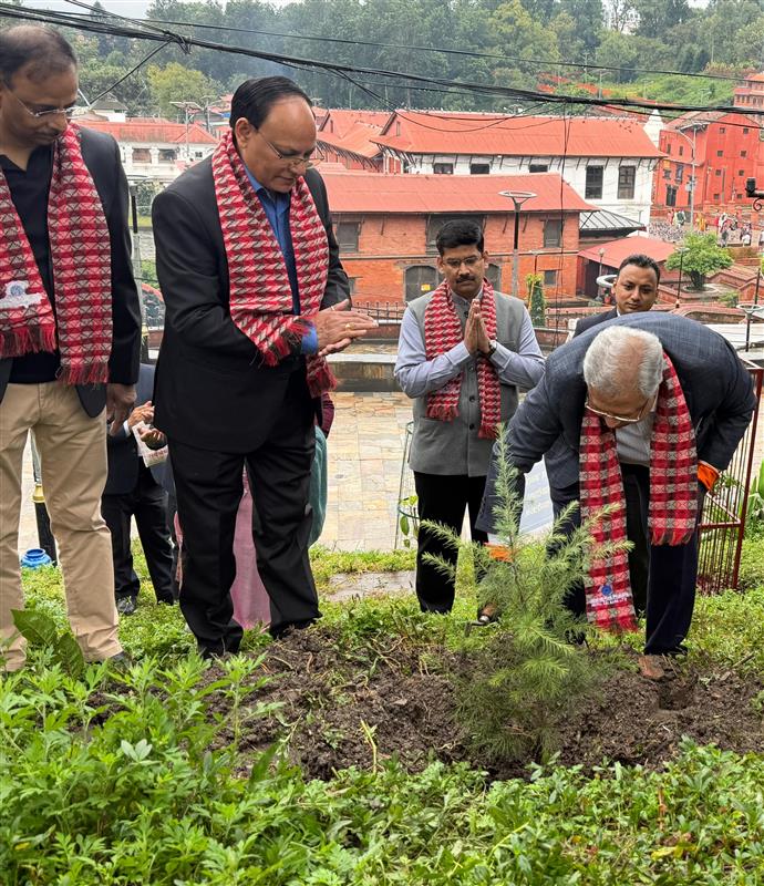 Nepal SBI Bank Plants Tree Saplings in Pashupati Temple Premises