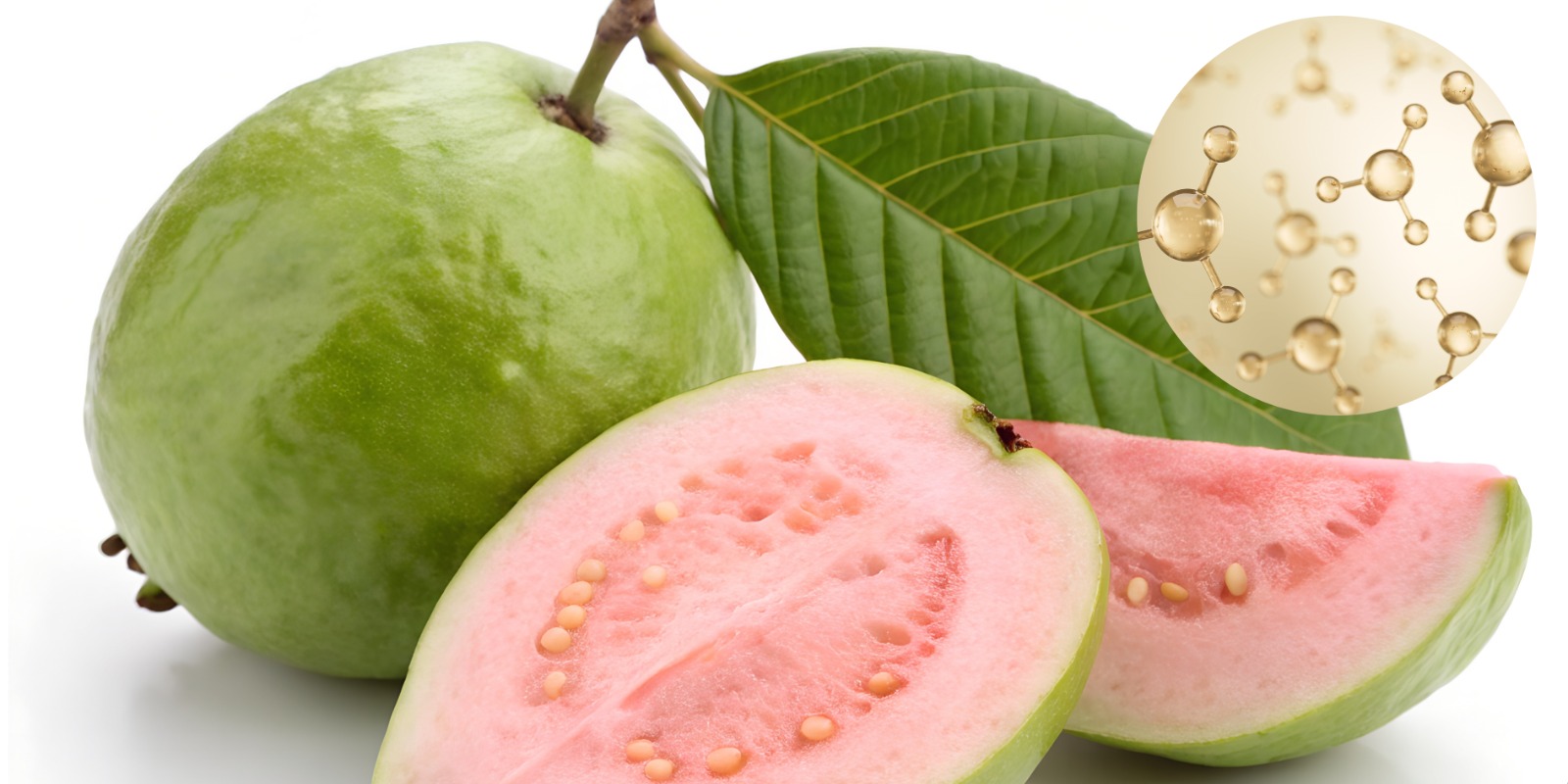 Cancer-fighting molecule found in guava, natural breakthrough against liver cancer