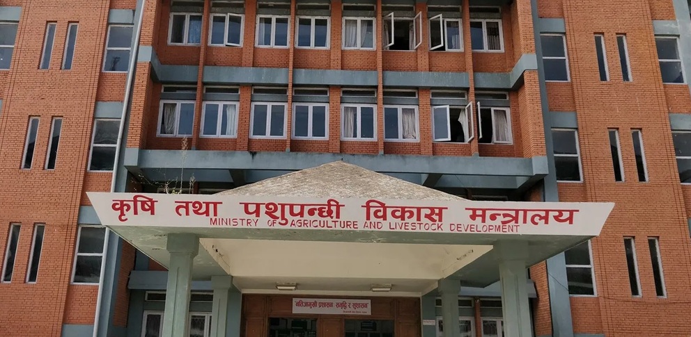 तोकियो सार्वजनिक खाद्य विश्लेषक, को-को छन् ?