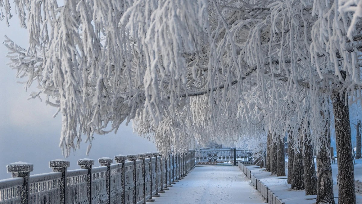 These are the 5 coldest cities in the world, with temperatures dropping to minus 67 degrees Celsius