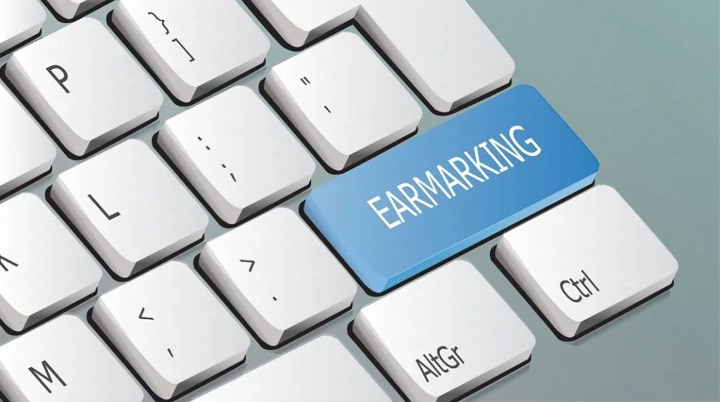 What is the ‘Earmark’ system in the insurance sector of Nepal? Why is it necessary?